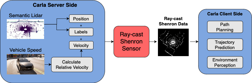 C-Shenron dataset image